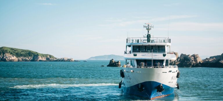 white and blue cruise ship on body of water during daytime